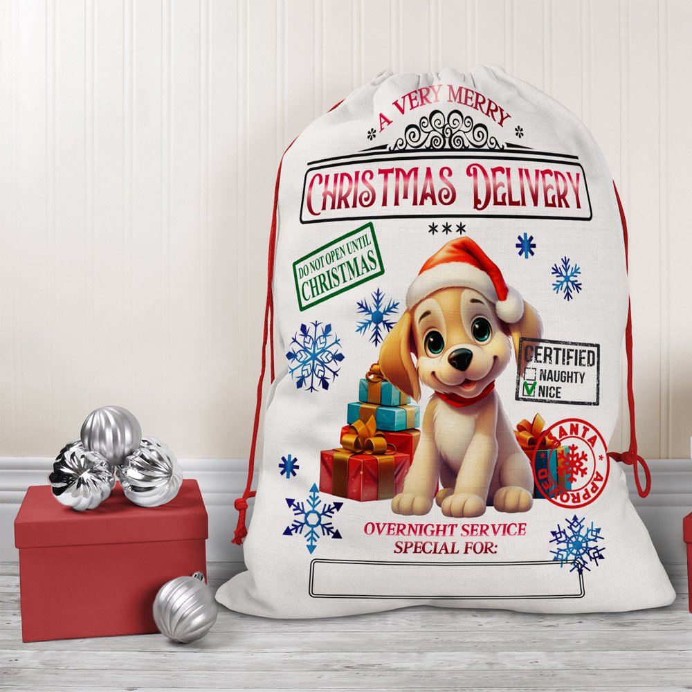 Personalized Santa Sack / Holiday Drawstring Bag - Image 9